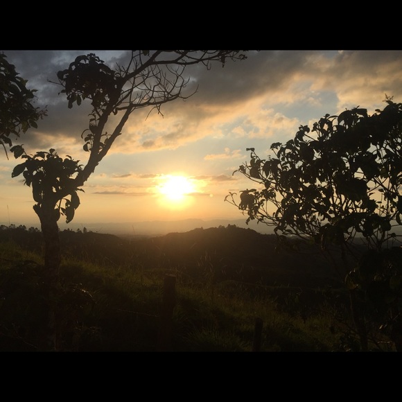 Meet your Posher, Olga - Picture 2 of 2